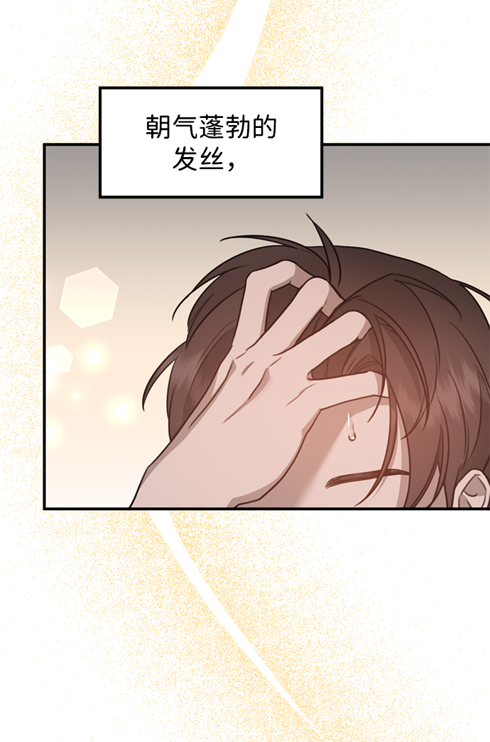 章节图片